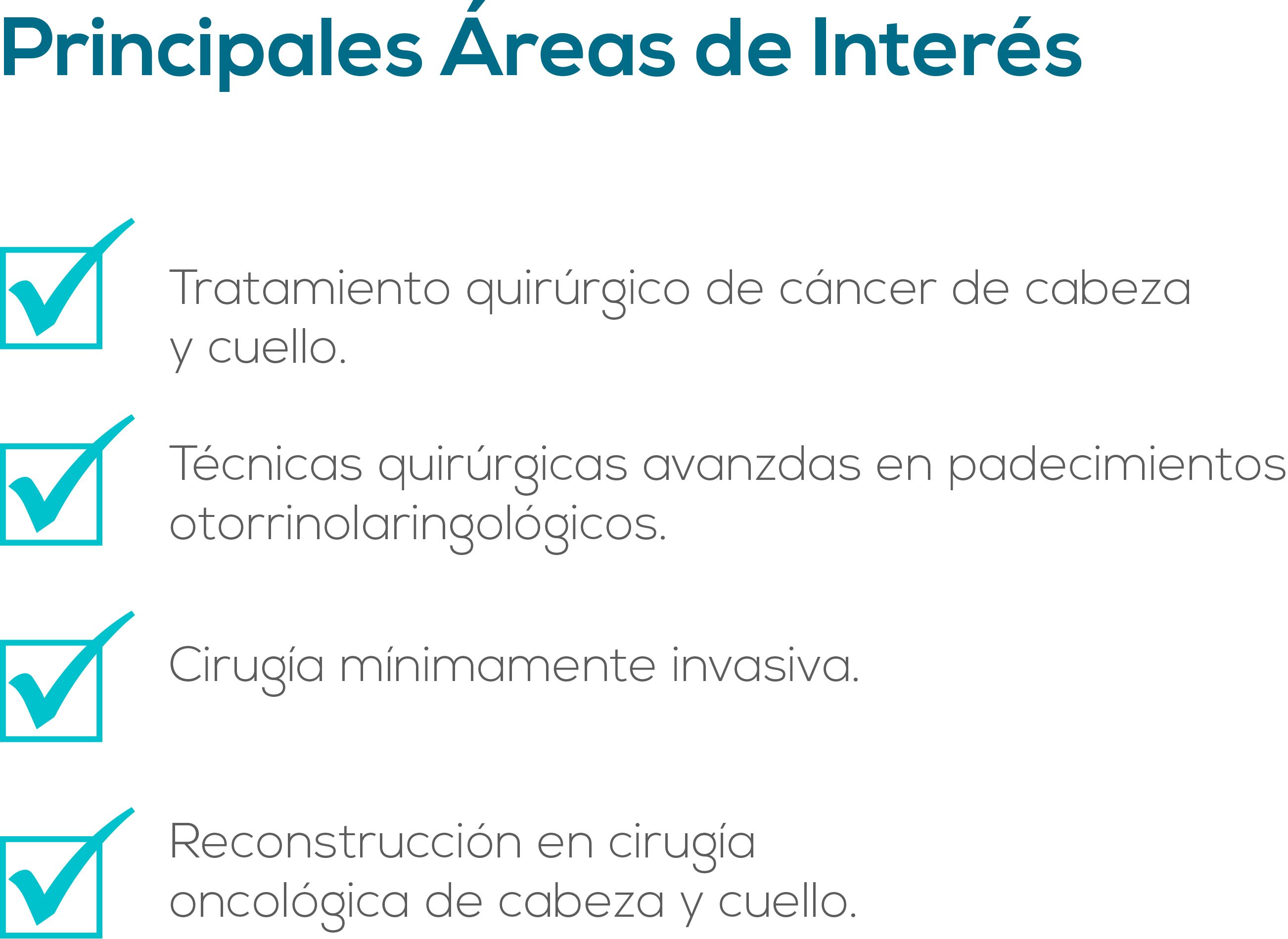 areas-interes-text